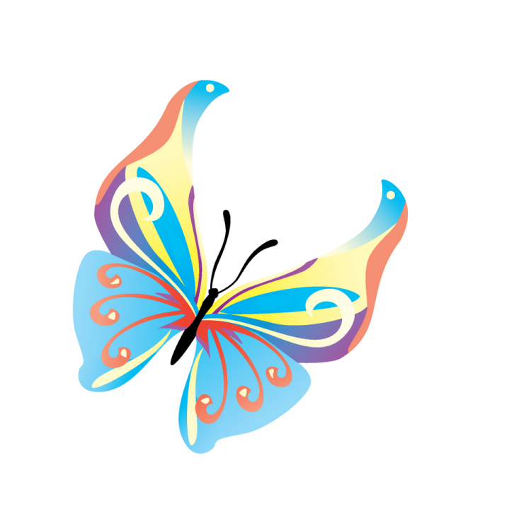 free vector 14 Colours butterfly vector